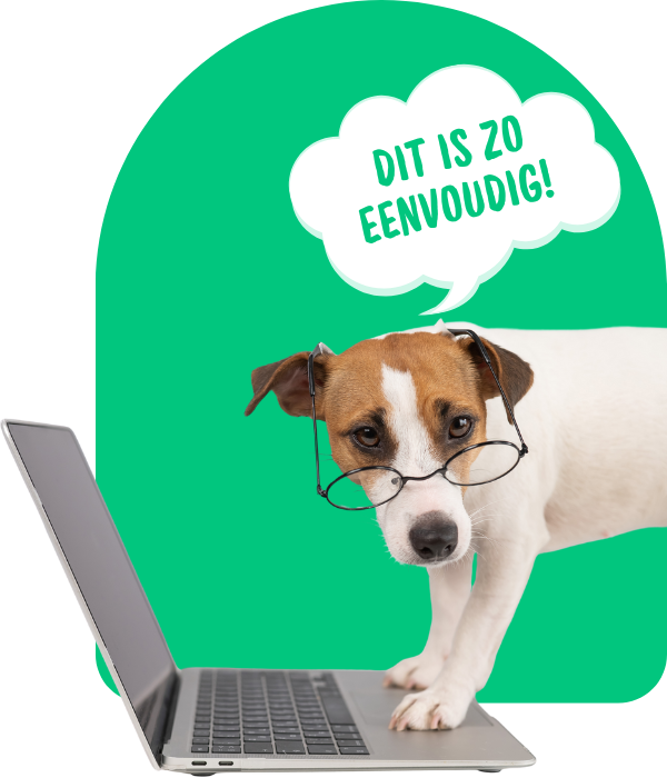 pic1 (500 x 800 px) (600 x 700 px) (98)